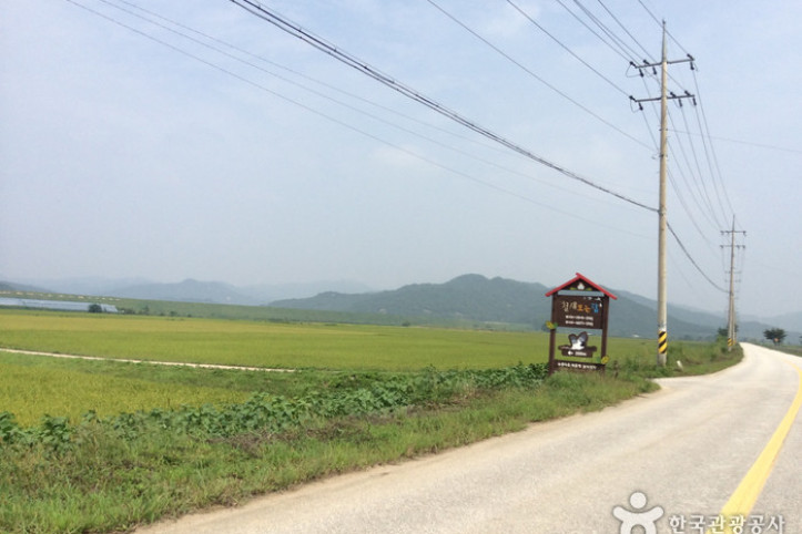 철원 철새도래지 (철원평야) 여행 추천 - 메고지고