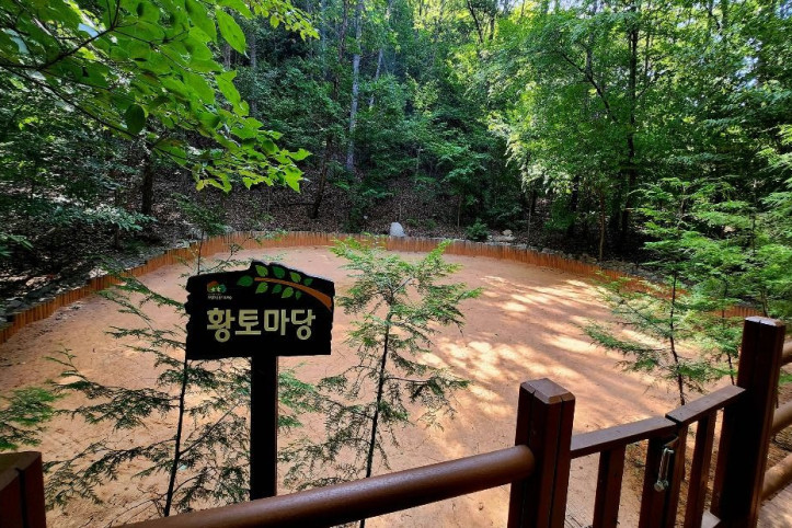 국립대운산치유의숲 여행 추천 - 메고지고