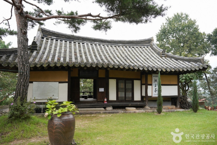 한방테마파크 초락당 (艸樂堂) 여행 추천 - 메고지고