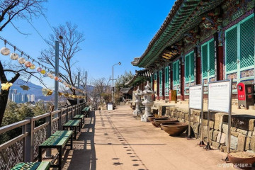밀양읍성 여행 추천 - 메고지고