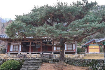 종남산(밀양) 여행 추천 - 메고지고