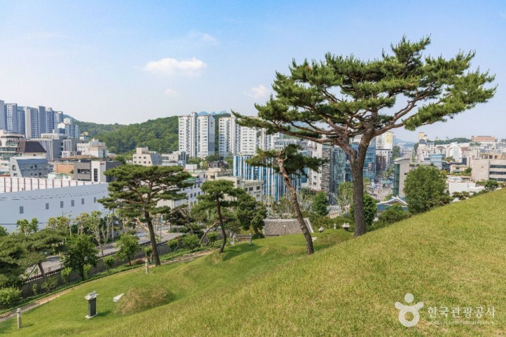 효령대군 이보 묘역 여행 추천 - 메고지고