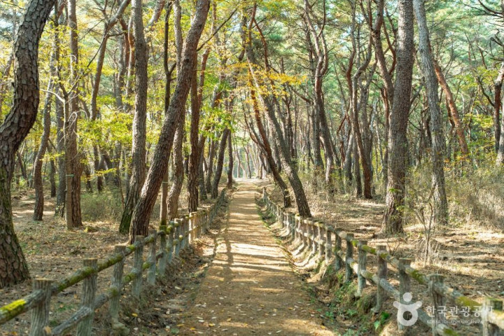 경주 정강왕릉 여행 추천 - 메고지고
