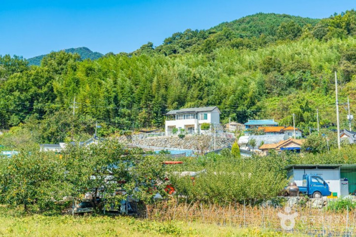 괴목마을 여행 추천 - 메고지고