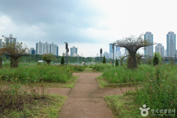 국제선센터 여행 추천 - 메고지고