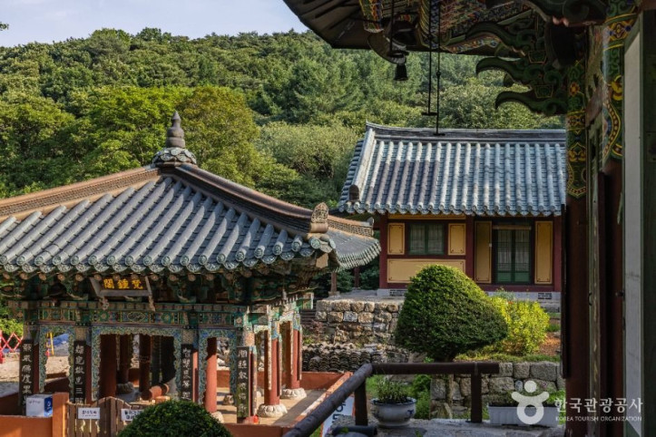 백련사(강화) 여행 추천 - 메고지고