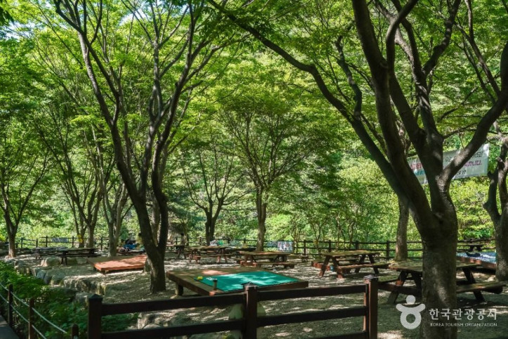 화원자연휴양림 여행 추천 - 메고지고