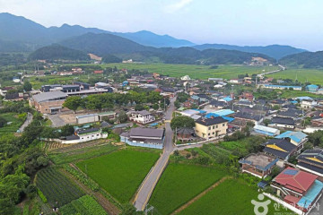 용궁마을 여행 추천 - 메고지고