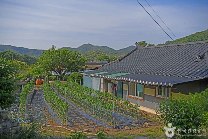 부여 반교마을 여행 추천 - 메고지고