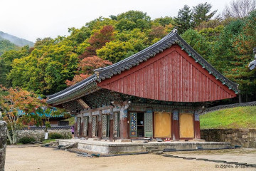 수도산자연휴양림 여행 추천 - 메고지고