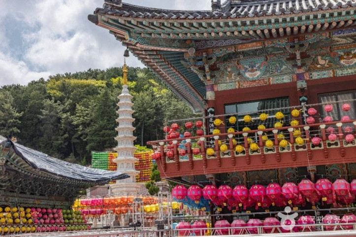 삼광사 여행 추천 - 메고지고