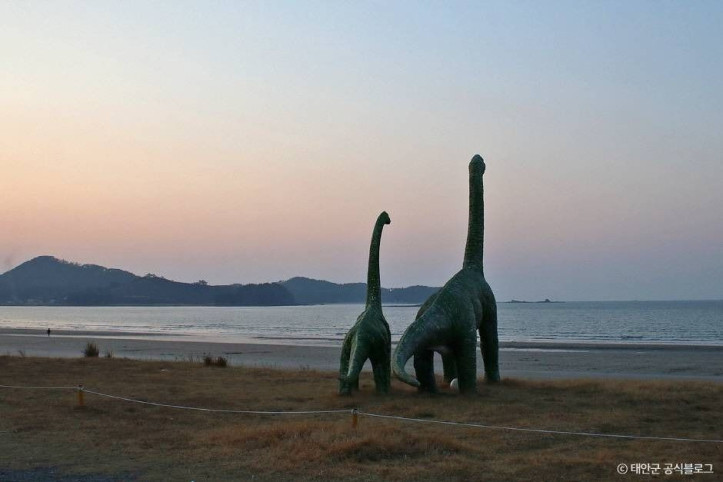 신두리해수욕장 여행 추천 - 메고지고