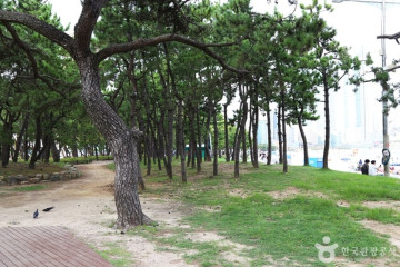 해운대 관광특구 여행 추천 - 메고지고