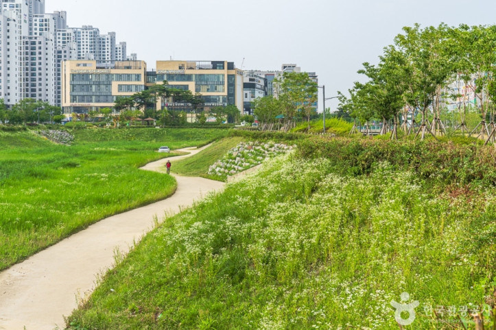 물총새공원 여행 추천 - 메고지고
