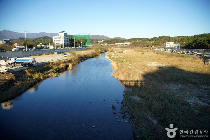 남대천(강릉) 여행 추천 - 메고지고