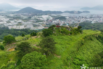 거제 명진리 느티나무 여행 추천 - 메고지고