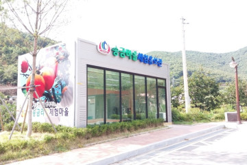 청도 와인터널 여행 추천 - 메고지고