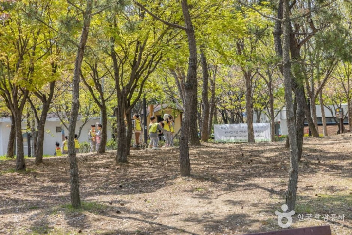 명지동근린공원 여행 추천 - 메고지고