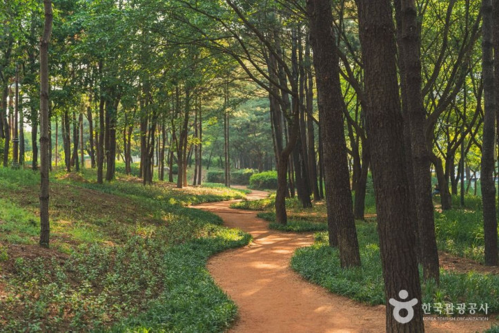 일원에코파크 여행 추천 - 메고지고
