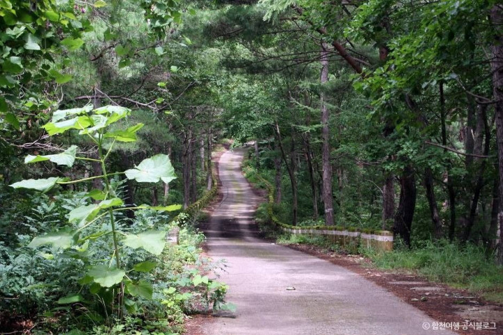 오도산 여행 추천 - 메고지고