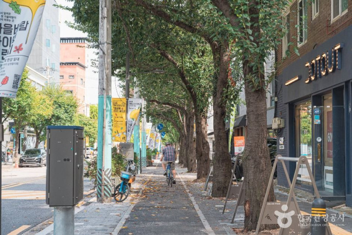 천호자전거거리 여행 추천 - 메고지고