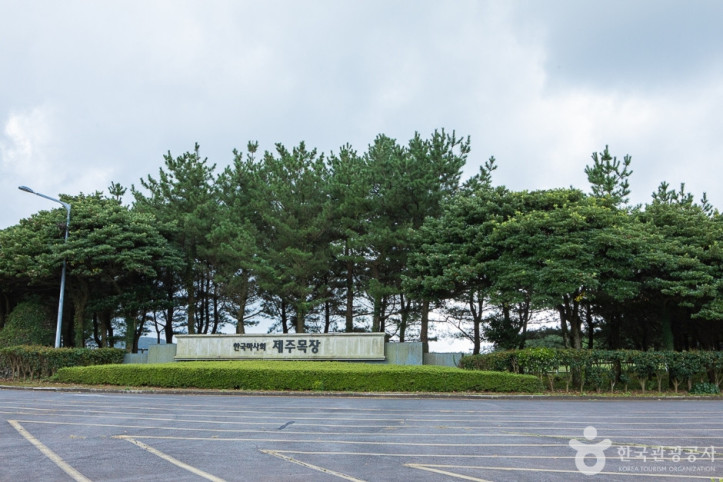 렛츠런팜 여행 추천 - 메고지고