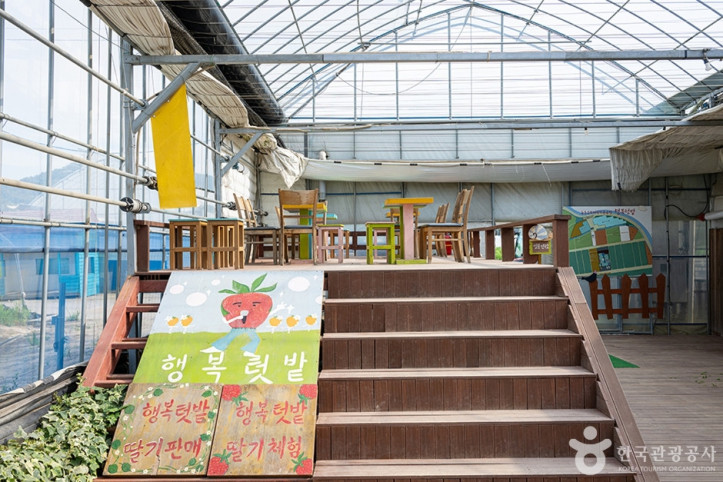 행복텃밭 여행 추천 - 메고지고