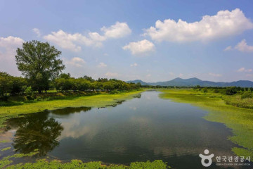 송산목장 여행 추천 - 메고지고