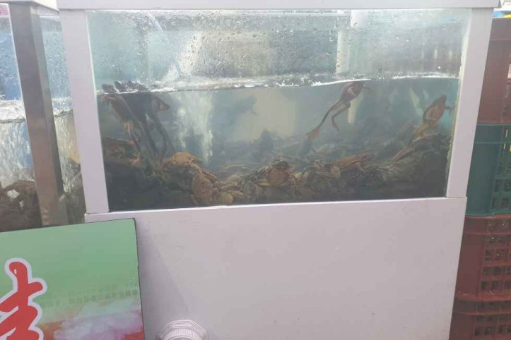안산 다문화특구 여행 추천 - 메고지고