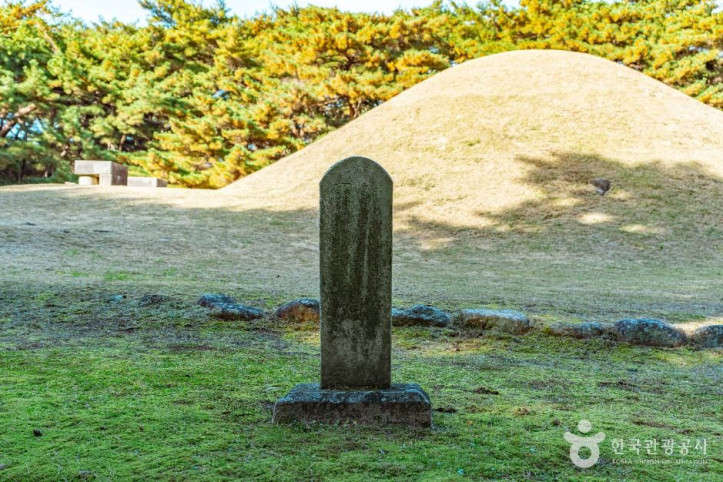 경주 배동 삼릉 여행 추천 - 메고지고