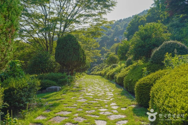 숲쟁이공원 여행 추천 - 메고지고