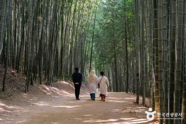 죽녹원 여행 추천 - 메고지고