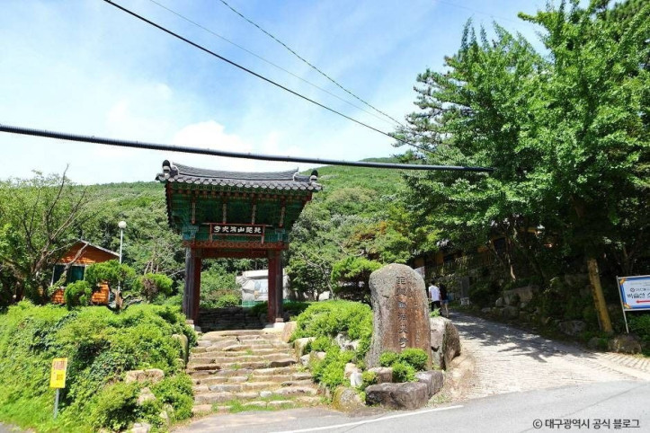 비슬산자연휴양림 여행 추천 - 메고지고