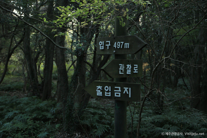 제주 청수마을 여행 추천 - 메고지고