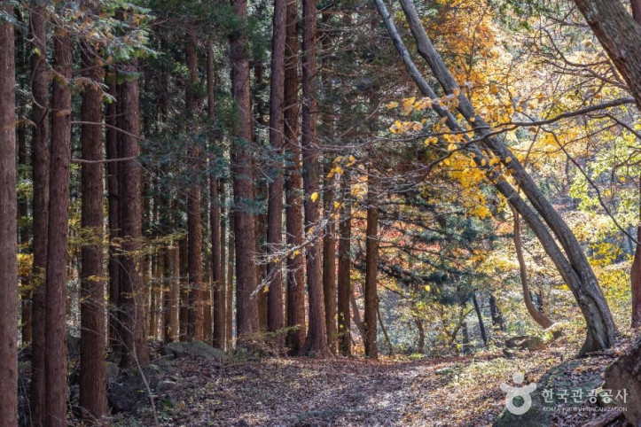 입암산 여행 추천 - 메고지고