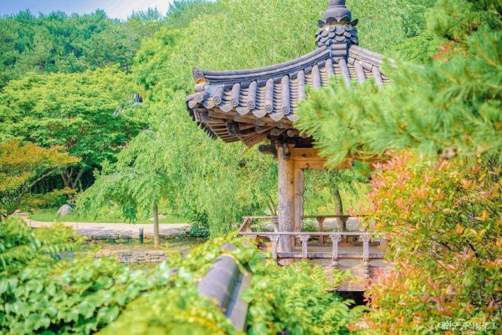 안면도수목원 여행 추천 - 메고지고