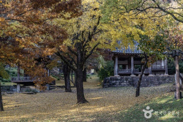 창평향교 여행 추천 - 메고지고