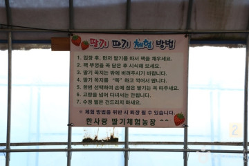 두물머리생태학교 여행 추천 - 메고지고