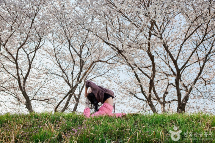 반줄 여행 추천 - 메고지고