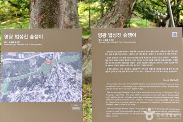 숲쟁이꽃동산 여행 추천 - 메고지고