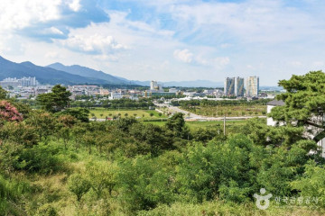섬진강장미공원 여행 추천 - 메고지고