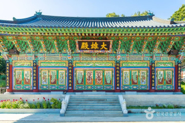 이천 도립리 반룡송 여행 추천 - 메고지고
