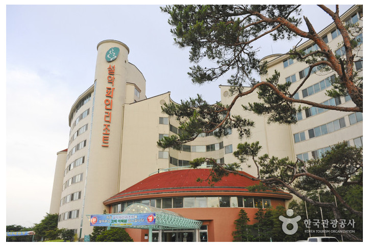 설악파인리조트 여행 추천 - 메고지고