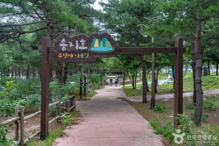 송지호둘레길 여행 추천 - 메고지고