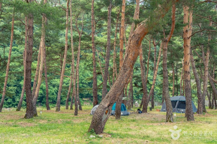 오천솔밭유원지 여행 추천 - 메고지고