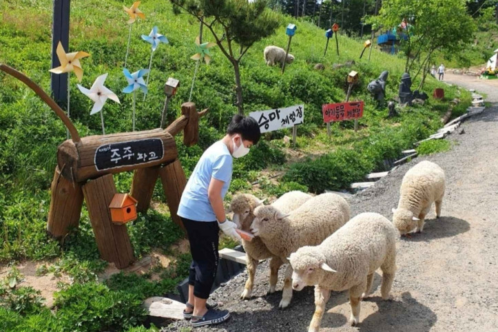 대관령 주주파크 여행 추천 - 메고지고