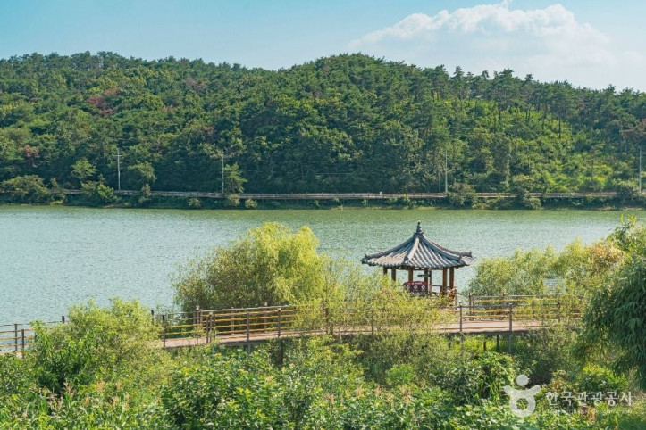 마근저수지 여행 추천 - 메고지고