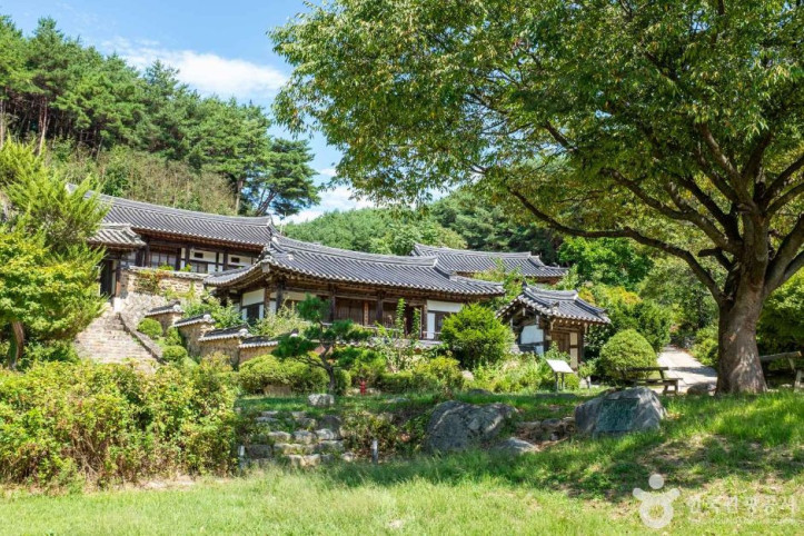 탁청정종가 여행 추천 - 메고지고