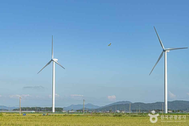 영광풍력발전단지 여행 추천 - 메고지고