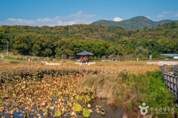 신서 중앙공원 여행 추천 - 메고지고